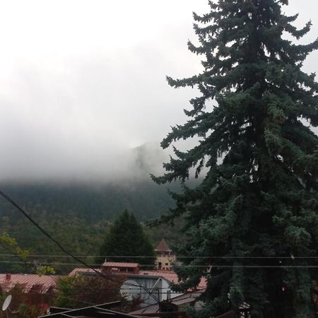House Lia Hotel Borjomi Exterior photo